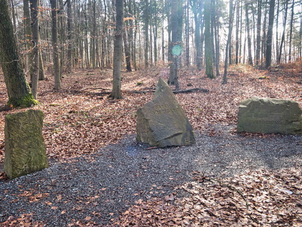 20220207142245-a7184719